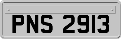 PNS2913