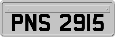 PNS2915