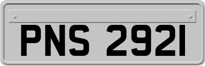 PNS2921