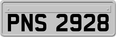 PNS2928