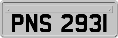 PNS2931