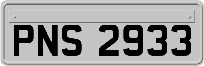 PNS2933