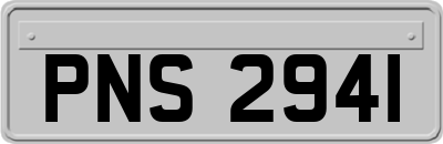 PNS2941