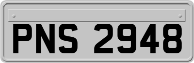 PNS2948