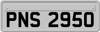 PNS2950