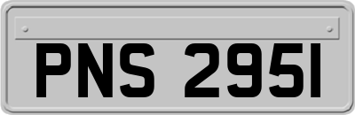 PNS2951