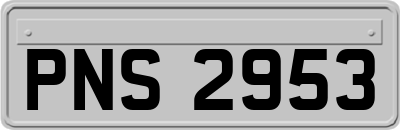 PNS2953