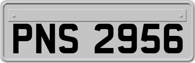 PNS2956