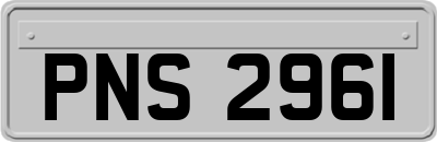 PNS2961
