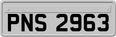 PNS2963