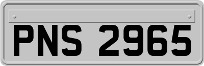 PNS2965