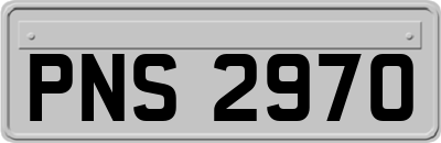 PNS2970