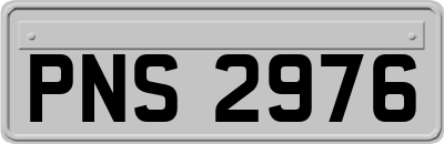 PNS2976