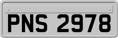 PNS2978