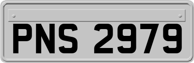 PNS2979