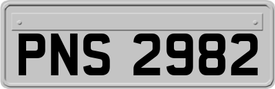 PNS2982