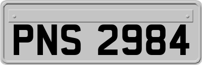 PNS2984
