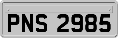 PNS2985