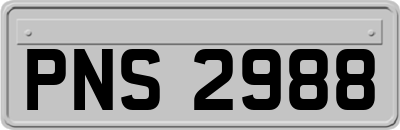 PNS2988