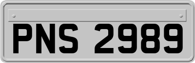 PNS2989