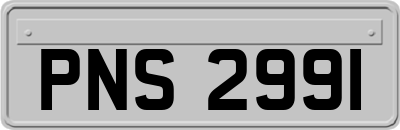 PNS2991