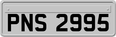 PNS2995