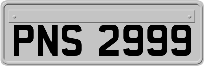 PNS2999