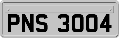 PNS3004