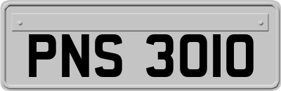 PNS3010