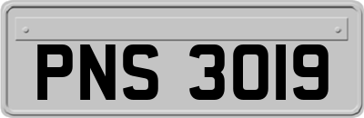 PNS3019