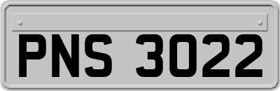 PNS3022
