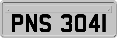 PNS3041