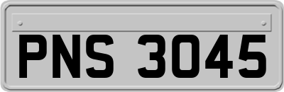 PNS3045