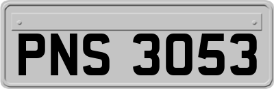 PNS3053