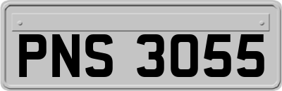 PNS3055