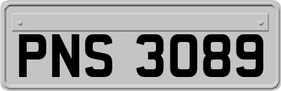 PNS3089