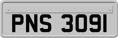 PNS3091
