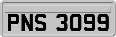 PNS3099