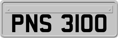 PNS3100