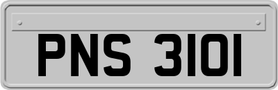PNS3101