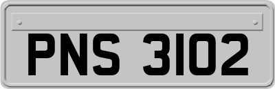 PNS3102