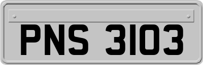 PNS3103