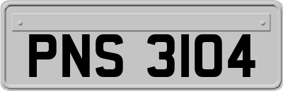 PNS3104