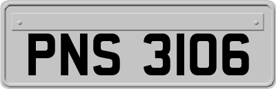 PNS3106