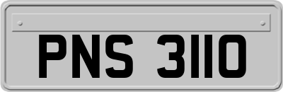 PNS3110