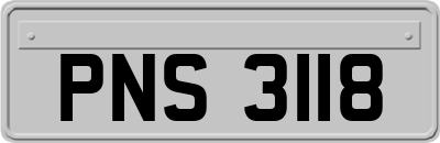 PNS3118