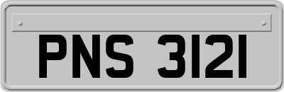 PNS3121