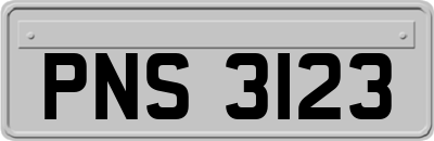 PNS3123