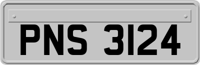 PNS3124