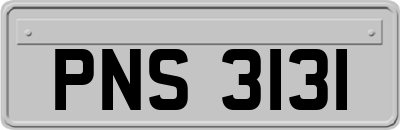 PNS3131